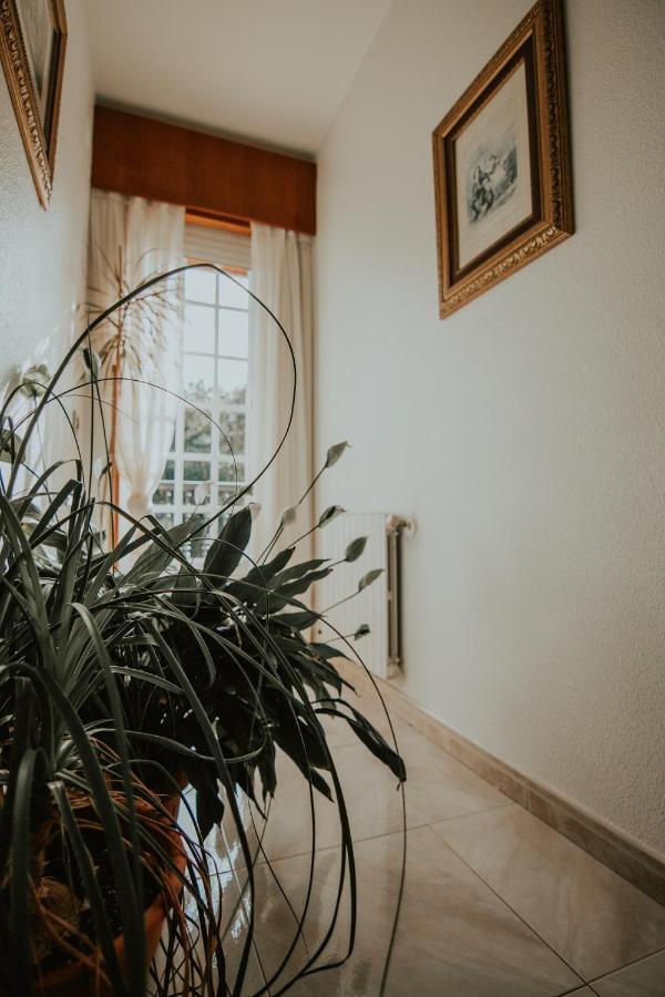 Hotel A Veiga Samos Kültér fotó